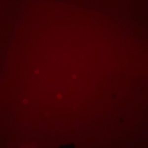 Meet your Posher, Tia